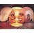 Oil Painting 