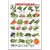 Educational Charts (Wild Animals, Domestic Animals, Assorted Fruits 2, Vegetables 2  Flowers)  set of 5