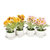 Set of 2 Amazing Pink & Yellow 16 CM Artificial Floral Plants