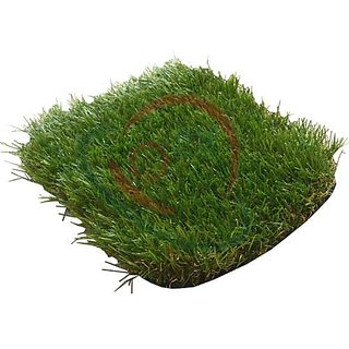                       The qualitative range of Grass Wall Panels from us                                              