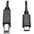 TRIPP LITE USB 2.0 Hi-Speed Cable B Male to USB Type-C Male 6 (U040-006)