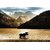 JP London MDXL3031PS Peel and Stick Removable Banff Forest Moose Full Wall Mural, 8.5 x 12