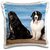 3dRose pc_192297_1 USA, California. Newfoundlands Sitting by The ocean Looking At You. - pillow Case, 16 by 16