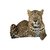 Wallmonkeys Leopard Peel and Stick Wall Decal, 30-Inch Width by 20-Inch Height