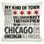 Bentin Home Decor Chicago Illinois Subway Style Words Pillow with Zipper, 14 by 20-Inch, Ivory/Gray