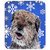 Carolines Treasures Border Terrier Blue Snowflake Winter Mouse Pad/Hot Pad/Trivet (SC9599MP)