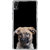 ifasho Grey Dog Back Case Cover for Sony Xperia Z3