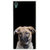 ifasho Grey Dog Back Case Cover for Sony Xperia Z5