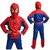 Spiderman Multicolour Polyester Fancy Dress Costume For Kids