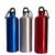 Steel Water Bottle (Pack of 2) Multi-color