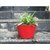OVAL HAMMERED TIN PLANTER -RED