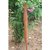 COCO POLE WITH NET -3ft
