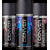 Denver Black Code, Rage and Sport Deo Combo (Pack of 3)