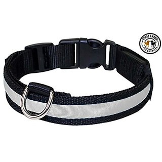 LED Dog Collar By TOPAZ & ABBIE , LED Dog Collars - 6 Colors & 4 Sizes - Non Toxic, High Quality & Durable - Steady Ligh