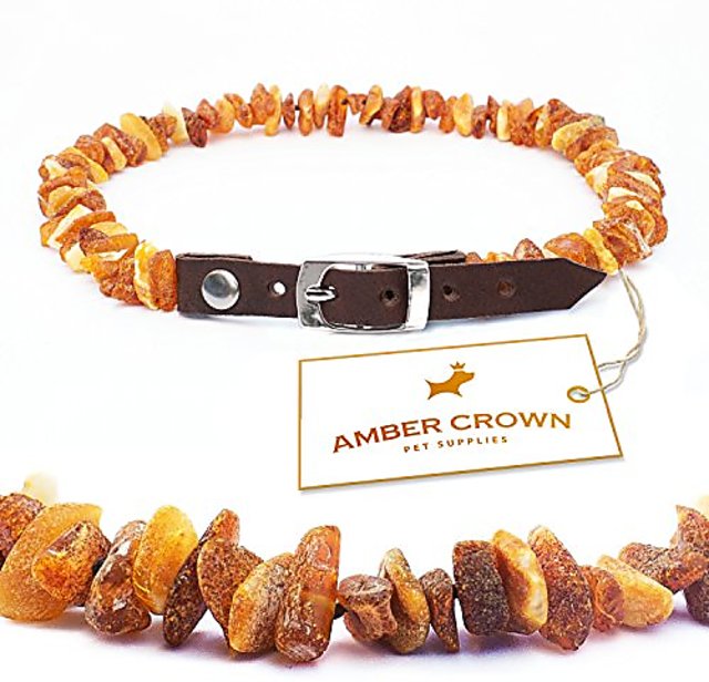 Amber tick outlet collar