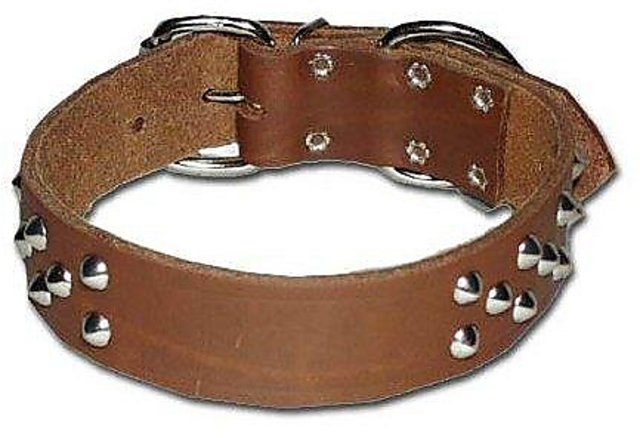 Studded brushed leather pet collar