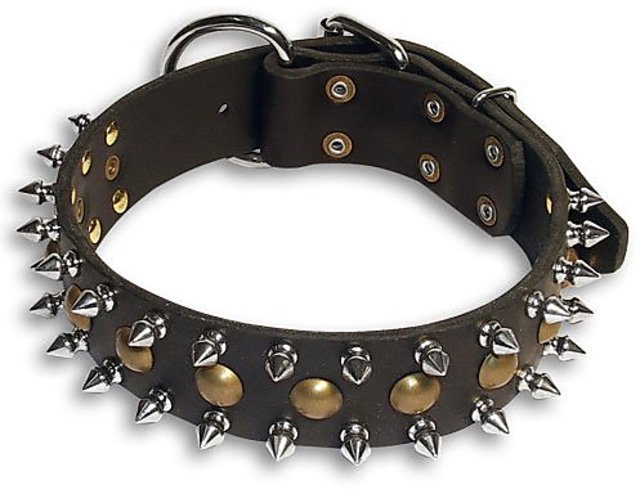 Dean and 2024 tyler dog collars