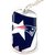 New England Patriots NFL Sports Fans Team Logo Pet Dog Tag ID Domed Necklace Neck Tag Charm Chain