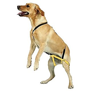 Buy NEW No Jump Dog Harness Anti Jump Pet Harness Stop Jumping