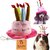 BroBear Dog Birthday Hat with Cake & Candles Design Party Costume Accessory Headwear Pink (One Size Fits Most)