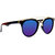 Derry Multicolour UV Protection Aviator Men Sunglasses