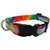 illumidog 14 to 20-Inch Reflective Nika Dog Collar, Medium, Tie-Dye