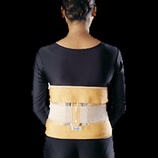 Vissco Eco Frame Back Support 0105