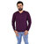 Oldberri V Neck Purple Sweaters