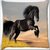 Snoogg Jumping Black Horse Digitally Printed Cushion Cover Pillow 16 x 16 Inch