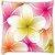Snoogg  all purpose bright frangipani card in vector format Digitally Printed Cushion Cover Pillow 16 x 16 Inch