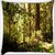 Snoogg Small Pathway In Dense Forest Digitally Printed Cushion Cover Pillow 16 x 16 Inch