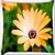 Snoogg Blossom Flower Digitally Printed Cushion Cover Pillow 16 x 16 Inch