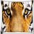 Snoogg Tiger Eyes Digitally Printed Cushion Cover Pillow 16 x 16 Inch
