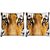 Snoogg Pack Of 2 Tiger Eyes Digitally Printed Cushion Cover Pillow 8 X 8 Inch