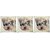 Snoogg Pack Of 3 Cute Dog With Glasses Digitally Printed Cushion Cover Pillow 8 X 8 Inch