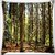 Snoogg Big Trees Digitally Printed Cushion Cover Pillow 24 X 24 Inch