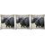 Snoogg Pack Of 3 Black Rhino Digitally Printed Cushion Cover Pillow 24 X 24Inch