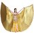 Dance Wings Golden Imported For Events And Belly Dance