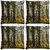 Snoogg Pack Of 4 Clean Forest Digitally Printed Cushion Cover Pillow 10 x 10 Inch