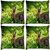 Snoogg Pack Of 4 Rabbit Sitting Digitally Printed Cushion Cover Pillow 10 x 10 Inch