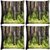 Snoogg Pack Of 4 Growing Trees Digitally Printed Cushion Cover Pillow 10 x 10 Inch
