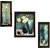 3 Piece Set Of Framed Wall Hanging Painting (GTSFRA0360)
