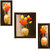 3 Piece Set Of Framed Wall Hanging Painting (GTSFRA0036)