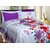DIVINE CASA 100  Cotton 145 Tc Pigment Single Bed Sheets Without Pillow Cover High Wash Fastness And Soft Finish