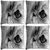 Snoogg Pack Of 4 Garcya Cat Eye Digitally Printed Cushion Cover Pillow 12 x 12 Inch