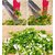 5 Blades Stainless steel Scissors Vegetable Chopper Paper Shredder Cutting Scissor Kitchen Herb No. of Pieces