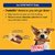 Pedigree Dentastix (Large Breed Dog - Oral Care), 1.08 Kg Monthly Pack (28 Sticks)