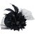 Fascinator Mini Top Hat Hair Clip Flower Feather Pillbox Hat for Women Black