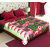 Story@Home Pink 1 Pc Double Blanket