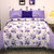Story@Home 100% Cotton Royal Blue 1 Double Bedsheet With 2 Pillow Cover